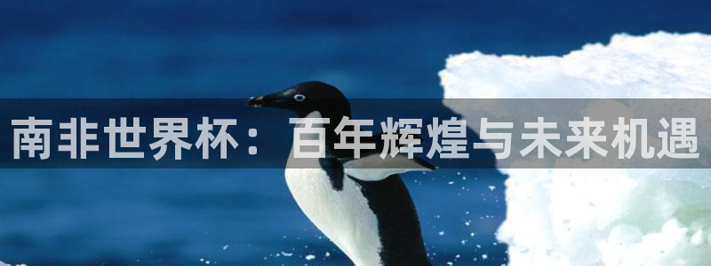 世界杯预选赛排名：南非世界杯：百年辉煌与未来机遇