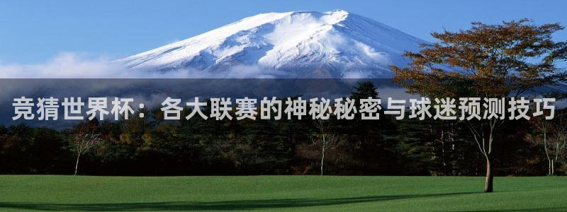 2026年世界杯直播平台：竞猜世界杯：各大联赛的神秘秘密与球迷预测技巧