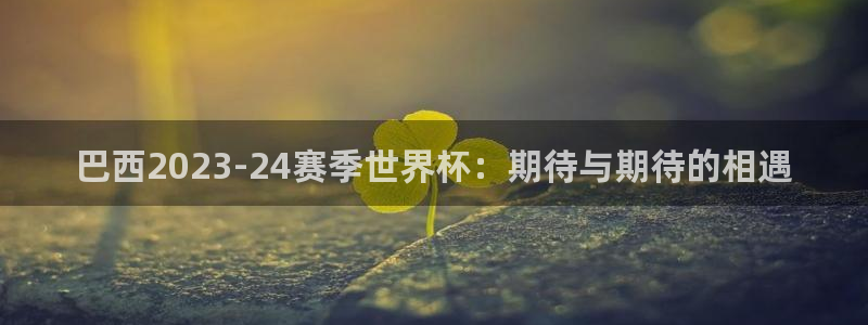 2026世界杯赛制：巴西2023-24赛季世界杯：期待与期待的相遇