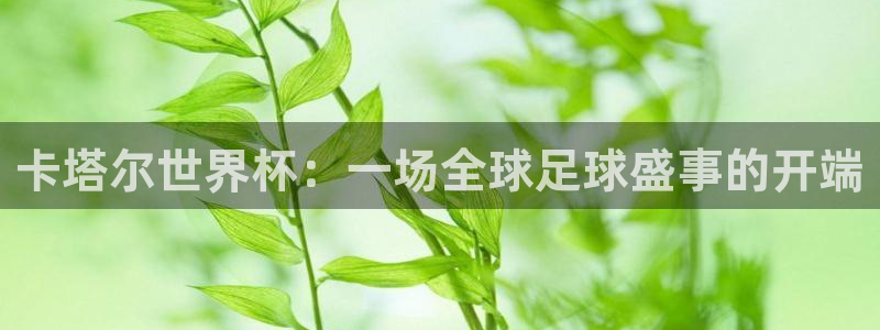 西超杯直播：卡塔尔世界杯：一场全球足球盛事的开端