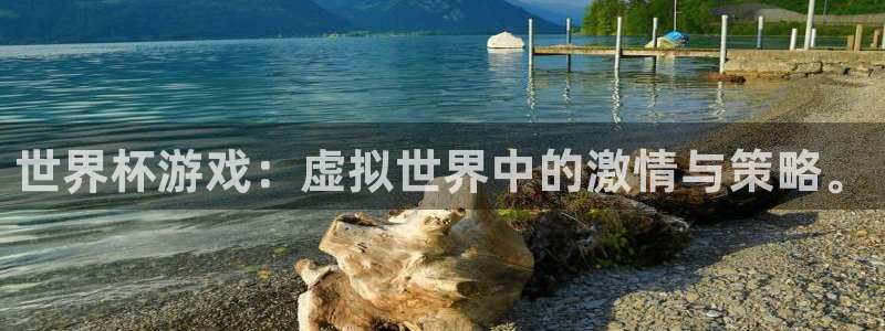 世界杯葡萄牙赛程：世界杯游戏：虚拟世界中的激情与策略。
