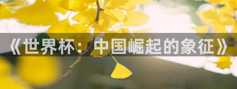 世界杯亚洲区预选赛赛程表：《世界杯：中国崛起的象征》