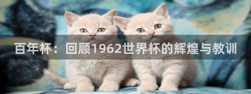 世界杯决赛预测：百年杯：回顾1962世界杯的辉煌与教训