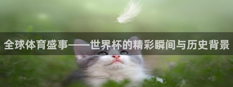 2026年男足世界杯：全球体育盛事——世界杯的精彩瞬间与历史背景
