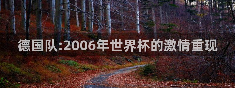 世界杯2026预选赛：德国队:2006年世界杯的激情重现