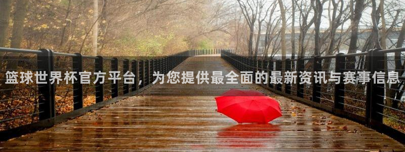 世界杯直播高清：篮球世界杯官方平台，为您提供最全面的最新资讯与赛事信息