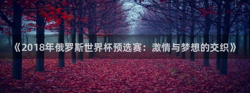 世界杯直播观看：《2018年俄罗斯世界杯预选赛：激情与梦想的交织》