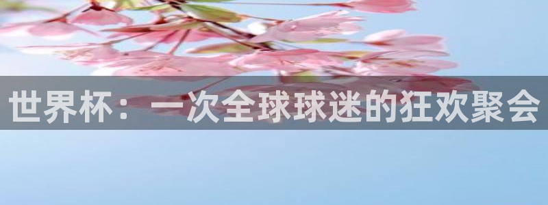 世界杯欧洲预选赛：世界杯：一次全球球迷的狂欢聚会