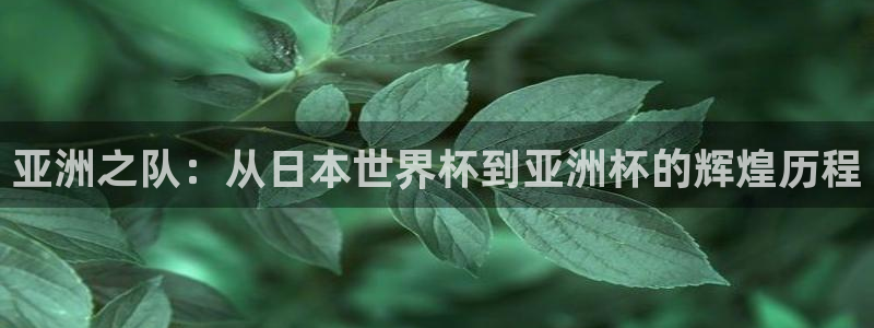世界杯亚洲区预选赛：亚洲之队：从日本世界杯到亚洲杯的辉煌历程