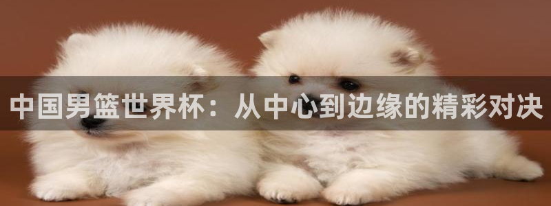 世界杯决赛圈球队：中国男篮世界杯：从中心到边缘的精彩对决